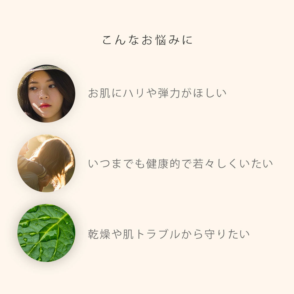 プラセンタ サプリメント 国内製造 60粒 Placenta BALANCE