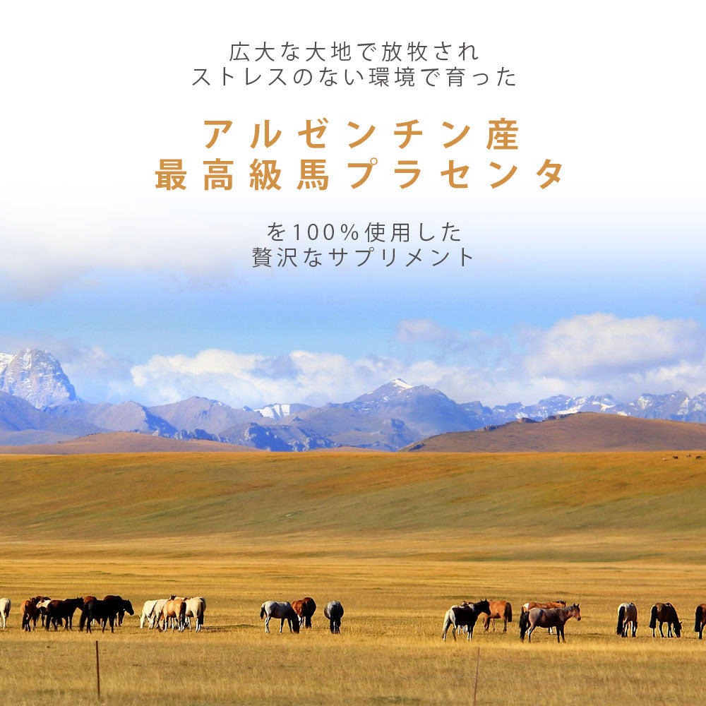 【セット】 プラセンタ 60粒 + 持ち運び プラセンタ 20粒 Placenta BALANCE