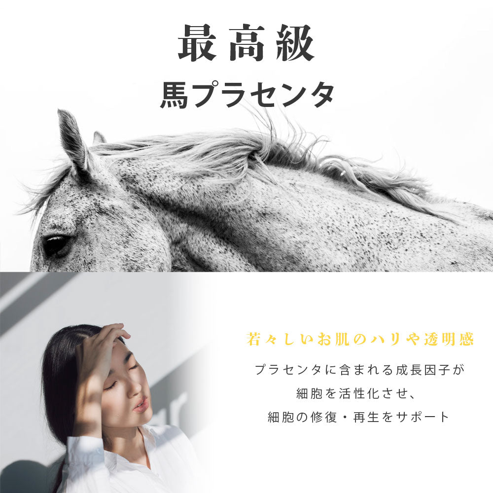 【セット】 プラセンタ 60粒 + 持ち運び プラセンタ 20粒 Placenta BALANCE