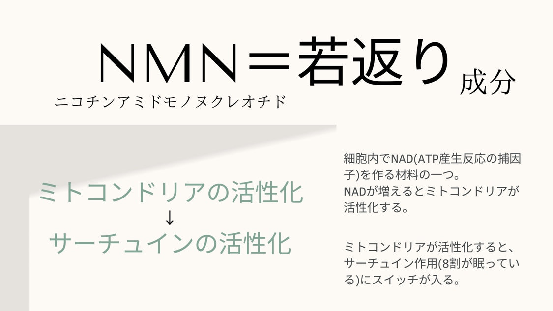 NMN サプリメント 国内製造 30粒入り NMN 7,500mg Youthful