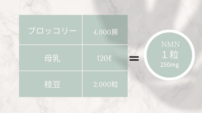 NMN サプリメント 国内製造 30粒入り NMN 7,500mg Youthful