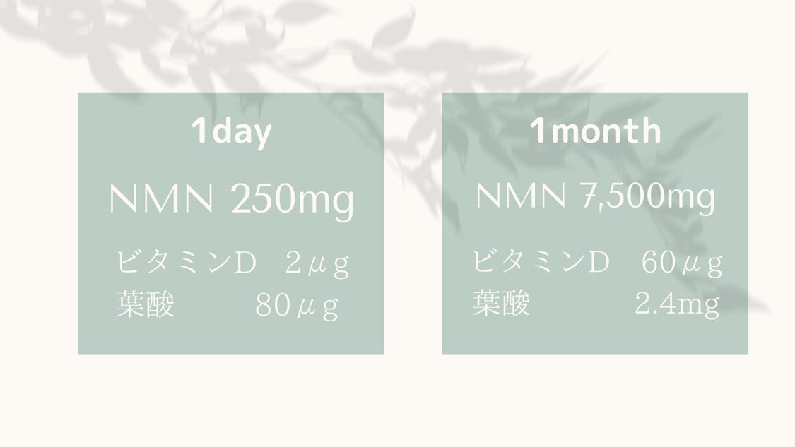 NMN サプリメント 国内製造 30粒入り NMN 7,500mg Youthful